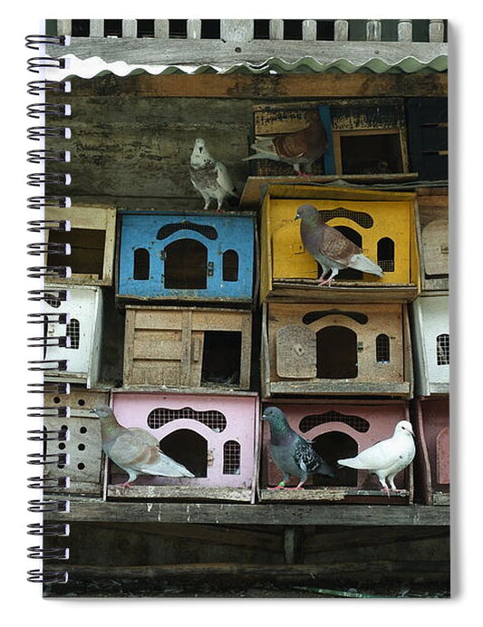 Pigeons Nesting in Colorful Boxes - Spiral Notebook