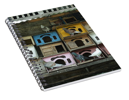 Pigeons Nesting in Colorful Boxes - Spiral Notebook