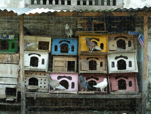 Pigeons Nesting in Colorful Boxes - Puzzle