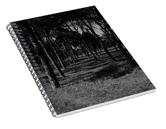 Shadow and Pine Trees - Spiral Notebook