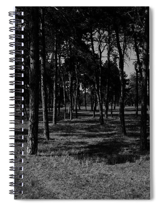 Shadow and Pine Trees - Spiral Notebook