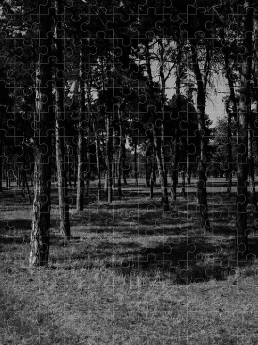 Shadow and Pine Trees - Puzzle