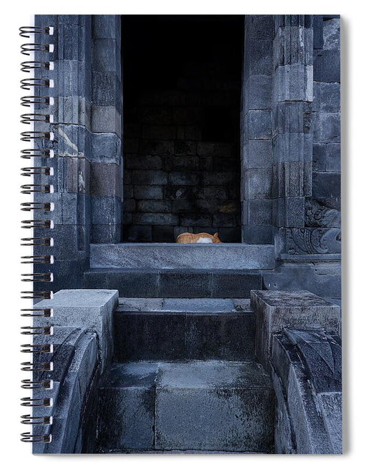 Sleeping Cat in Ancient Ruins - Spiral Notebook